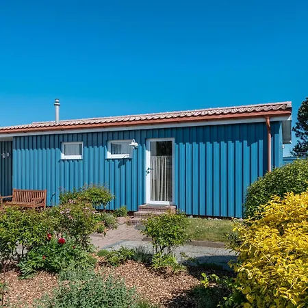 Moeve Aba 61 Рерик