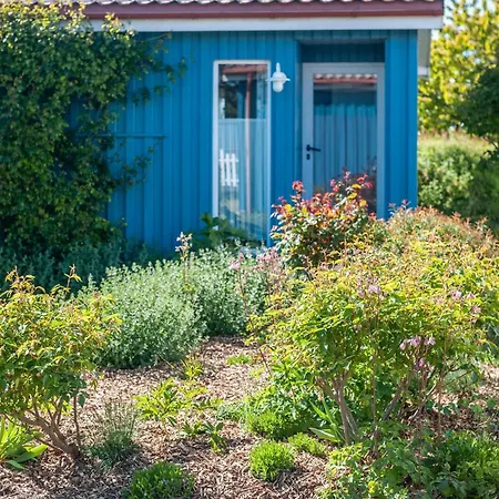 Moeve Aba 61 * Рерик